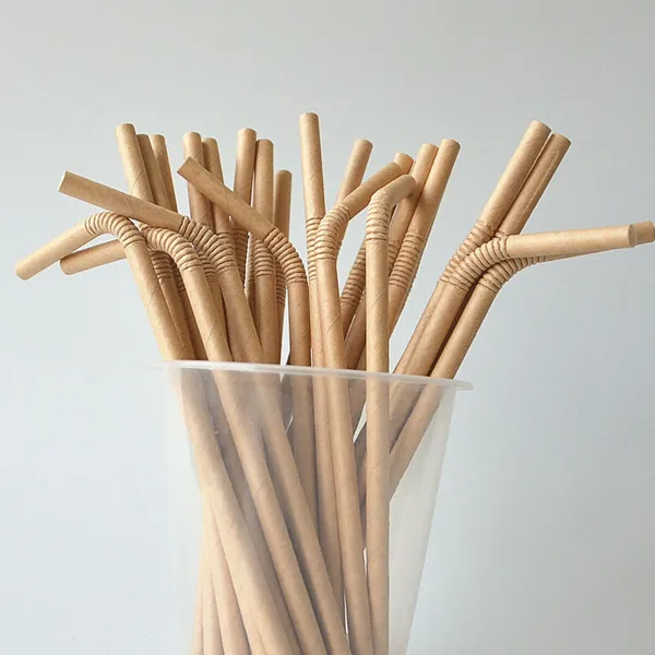 Reusable Drinking Straw Algon 19,7 x 0,6 cm 25 Pieces 24 Units