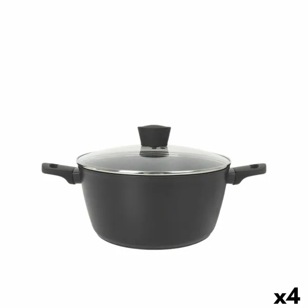 Puodas su dangčiu MasterChef 28 cm (4 vnt.)