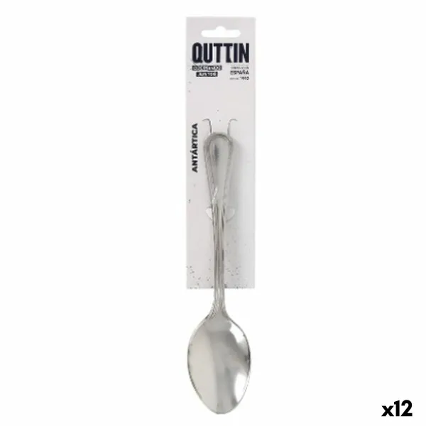 Десертная ложка Quttin Antartica 3 Предметы (12 штук)