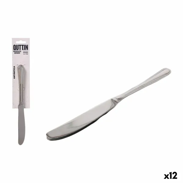 Nažu komplekts Quttin Antártica Sudrabains Nerūsējošais tērauds 21,6 x 1,8 cm 2 Daudzums (12 gb.)