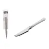 Meat Knife Set Quttin Antártica Silver Stainless steel 21,5 x 1,9 cm 2 Pieces (12 Units)