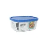 Pusdienu kastīte Inde Frigo Taisnstūra 470 ml (12 gb.)