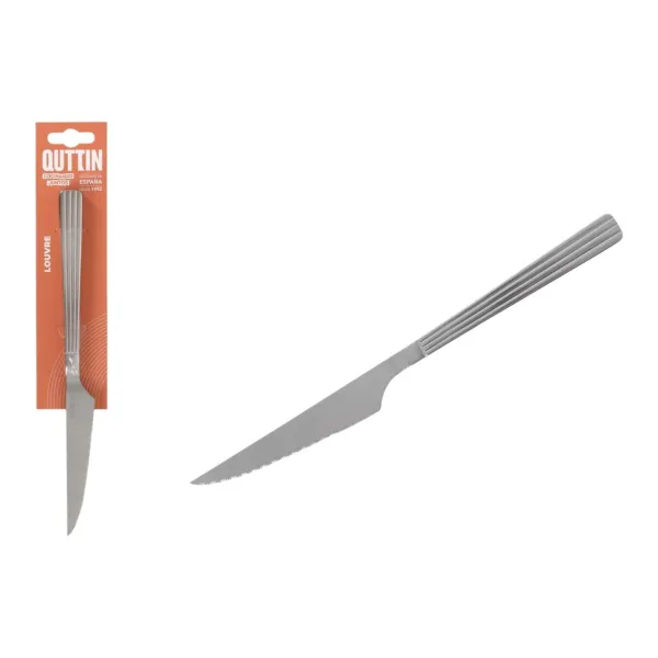 Meat Knife Set Quttin LOUVRE Silver 23,6 x 2 cm 2 Pieces (12 Units)