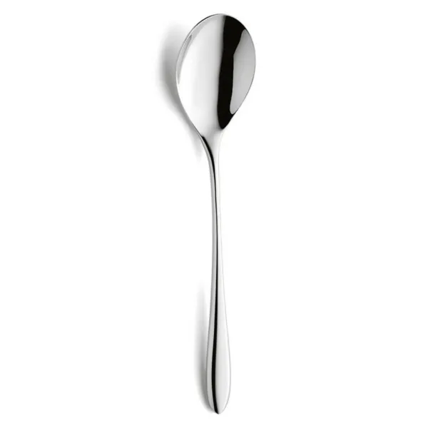 Lusikkasarja Amefa Cuba Metalli 21,6 cm 12 osaa