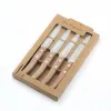 Veitsisetti Amefa 497511NT01PK4 Ruskea Metalli 4 Kappaletta 21,5 cm (4 osaa)