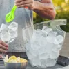 Ledus Spainis Koala 6197TT01 Caurspīdīgs Plastmasa