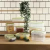 Hermētiska Pusdienu Kastīte Quid Greenery Caurspīdīgs Plastmasa Taisnstūra 1,05 L (4 gb.)