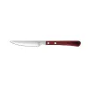 Peilis skirtas kapoti Amefa Brasero Ruda Metalinis 12 vnt. 24 cm (Pack 12x)