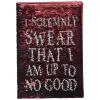 Harry Potter - Sequin Notebook / A5 Notebook