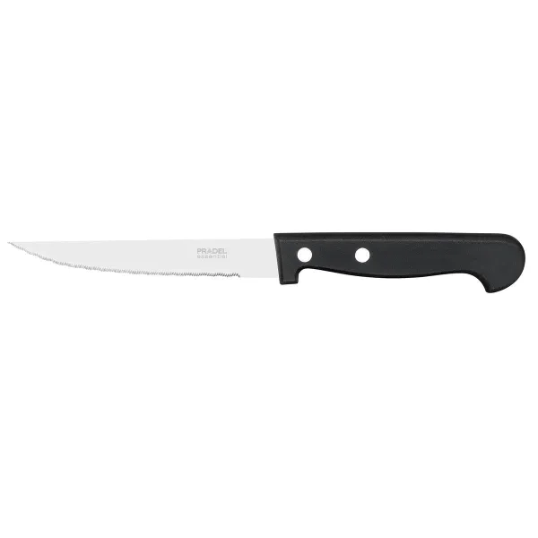 Gaļas Nažu Komplekts Pradel essentiel Daudzkrāsains Metāls 21 cm (4 gb.)