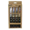Gaļas Nažu Komplekts Pradel essentiel Daudzkrāsains Metāls 21 cm (4 gb.)
