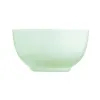 Блюдо Luminarc Diwali Paradise Зеленый Cтекло 14,5 cm (24 штук)