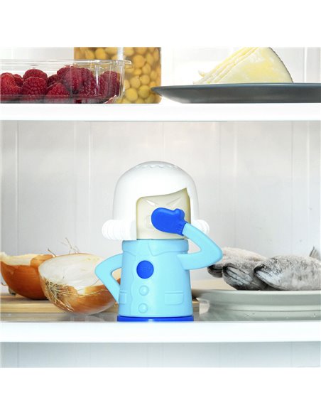 Fridge deodorizer Fummom InnovaGoods