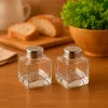 Salt and Pepper Shakers Versa Metal Crystal