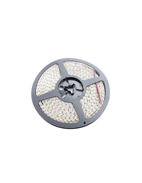 LED strip 10mm, 3000K, 5m