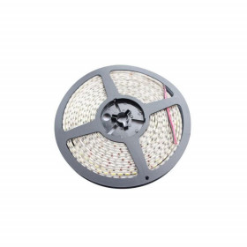 LED-riba 10mm, 4000K, 5m