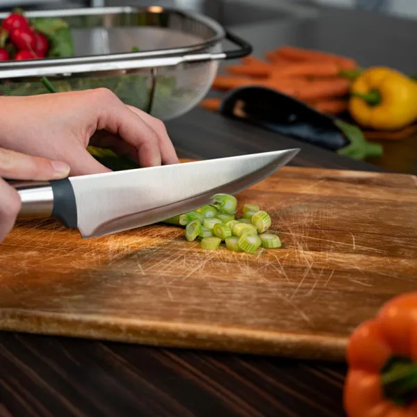 Alpina - Stainless steel knife set 5 pcs.
