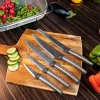 Alpina - Stainless steel knife set 5 pcs.