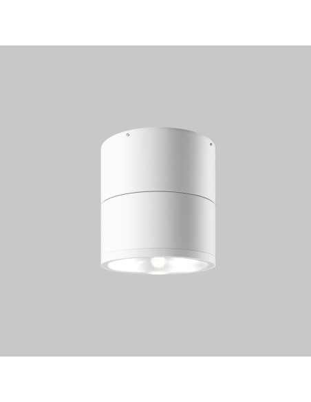 O310CL-L12W3K Maytoni Outdoor Spin Ceiling lamp White