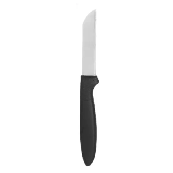 Peeler Knife Set Kinvara Black Silver Stainless steel polypropylene Plastic 17,2 cm 12,5 x 26,2 x 1 cm (12 Units)