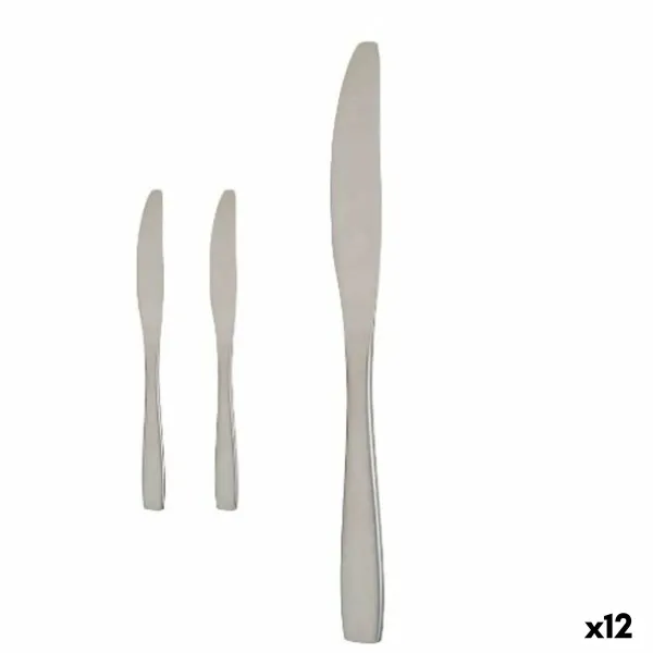 Veitsisetti Kinvara Hopeinen Ruostumaton teräs 55,5 x 2 x 0,5 cm 6 x 24,5 x 1 cm 2 x 22,5 x 0,3 cm (12 osaa)
