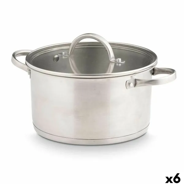 Puodas su stikliniu dangčiu Kinvara Sidabras 3,8 L 29 x 12 x 22 cm 29 x 16 x 22 cm Indukcija (6 vnt.)