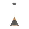 Pendant Lamp P359-PL-220-C