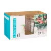 Plāksņu komplekts Leknes Caurspīdīgs Plastmasa 5 L 25,5 x 12,3 x 25,5 cm (12 gb.)