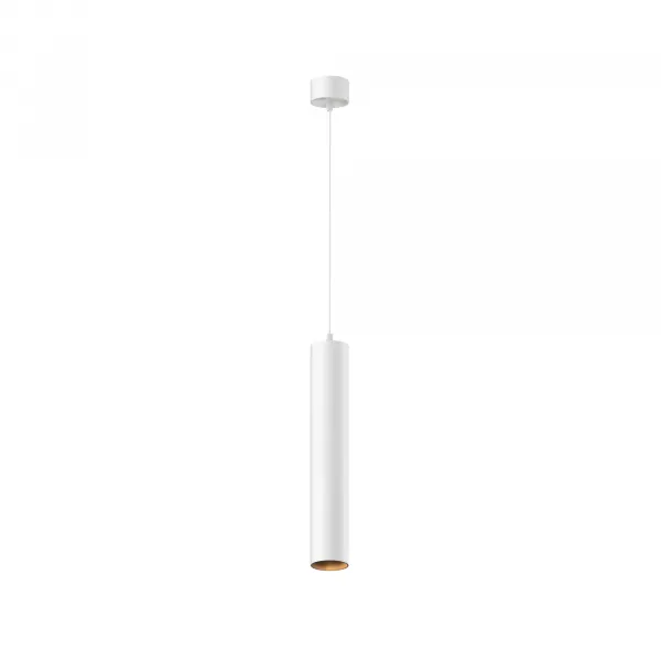 Pendant lamp P072PL-L12W3K-1