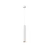 Pendant lamp P072PL-L12W3K-1