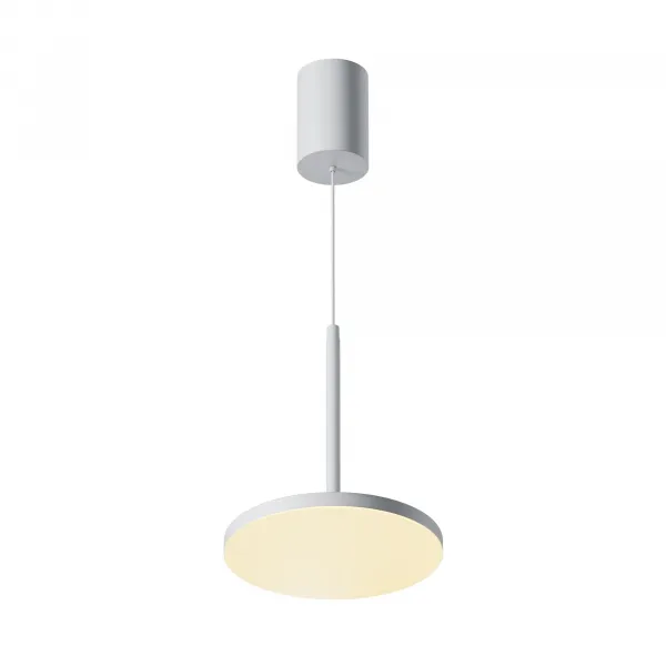 Pendant lamp P076PL-L12W3K-W