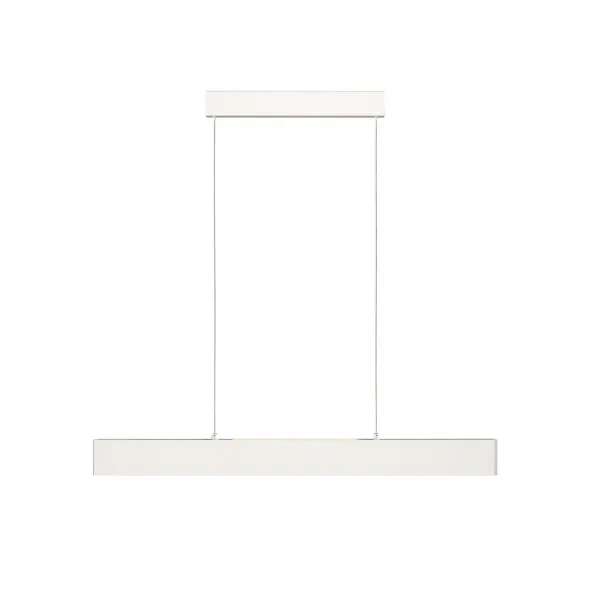 Pendant Lamp P010PL-L23W