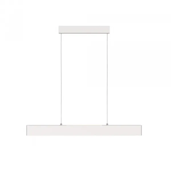 Pendant Lamp P010PL-L23W4K