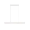 Pendant Lamp P010PL-L23W4K