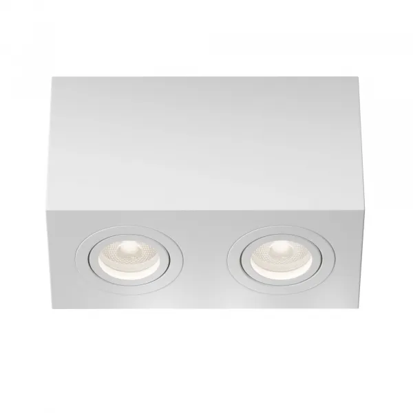 Ceiling Lamp C017CL-02W