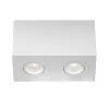 Ceiling Lamp C017CL-02W