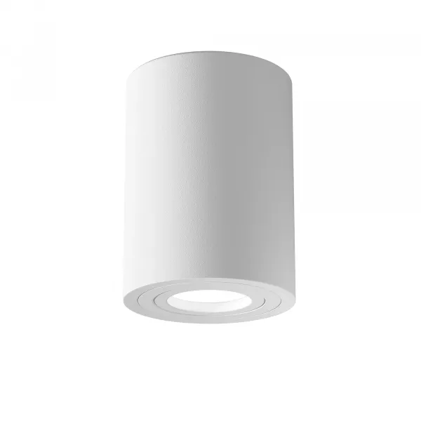 Ceiling Lamp C016CL-01W