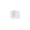 Ceiling lamp C090CL-10W3K-W