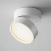 Ceiling Lamp C024CL-L18W