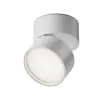 Ceiling Lamp C024CL-L12W4K