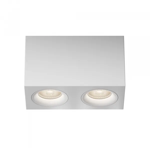 Ceiling Lamp C013CL-02W