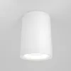 Ceiling Lamp C012CL-01W