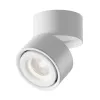 Ceiling Lamp C084CL-15W4K-D-W