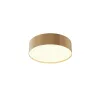 Ceiling lamp C032CL-24W3K-RD-MG