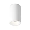 Ceiling Lamp C029CL-01-S-W