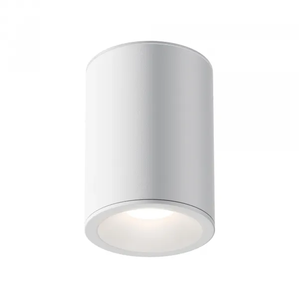 Ceiling Lamp C029CL-01W