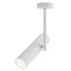 Ceiling Lamp C020CL-01W