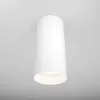 Ceiling Lamp C010CL-01W