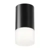 Ceiling Lamp C007CW-01B