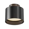 Ceiling Lamp C009CW-L12B